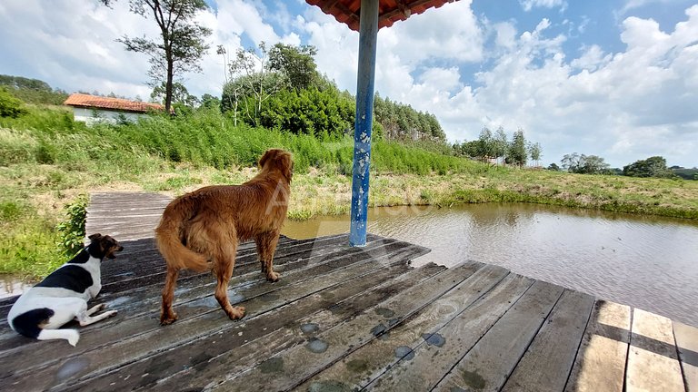 Sítio família e amigos com piscina e churrasqueira