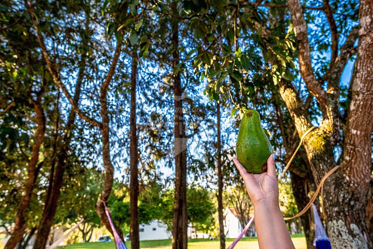 Sítio natureza, piscina, churrasqueira em até 6x!