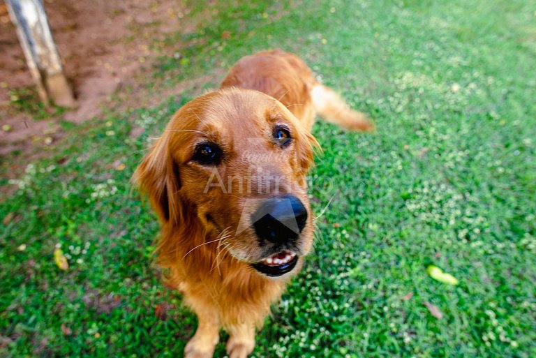 Sítio família e amigos com piscina e churrasqueira