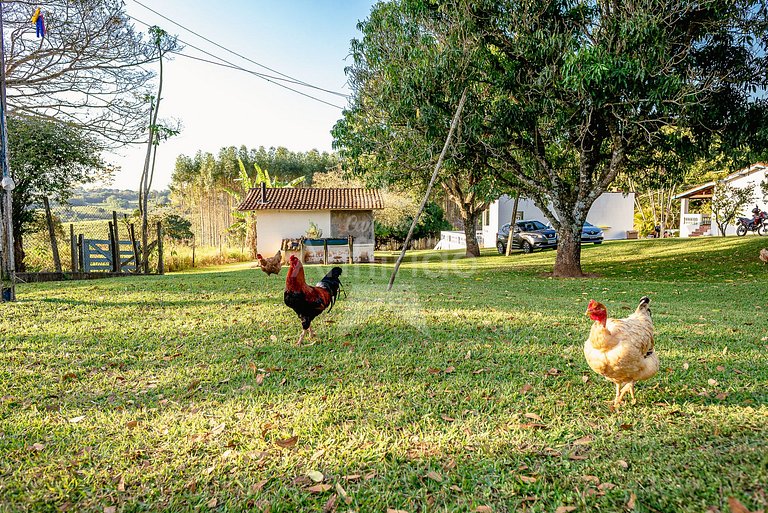 Sítio natureza, piscina, churrasqueira em até 6x!