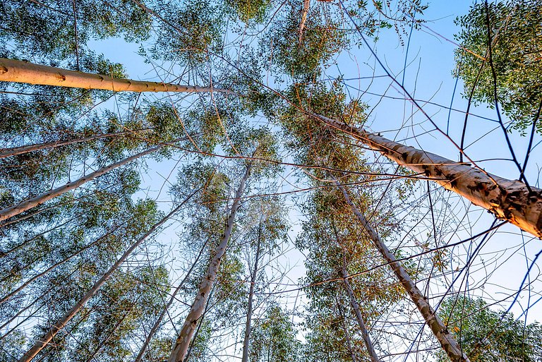 Sítio família e amigos com piscina e churrasqueira